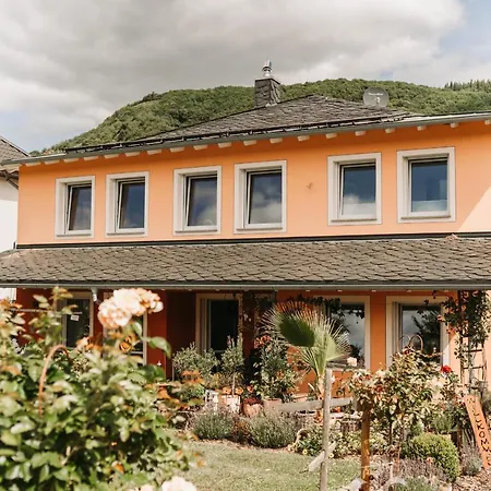 Pensionat Wein- Und Gaestehaus Schwaab&sohn