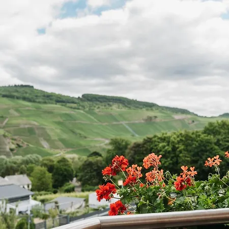 Wein- Und Gaestehaus Schwaab&sohn