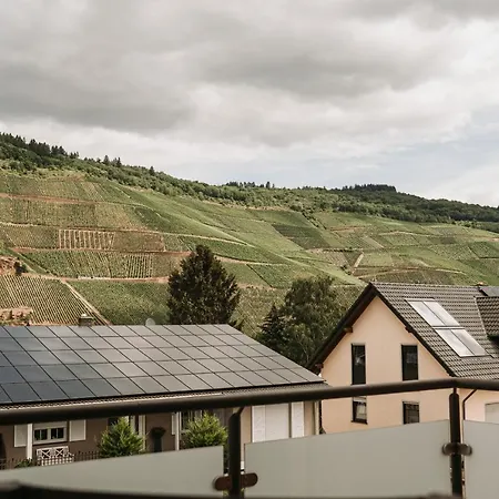 Pensionat Wein- Und Gaestehaus Schwaab&sohn 3*
