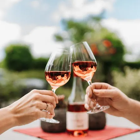 Wein- Und Gaestehaus Schwaab&sohn Erden