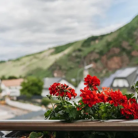 Wein- Und Gaestehaus Schwaab&sohn Casa de hóspedes