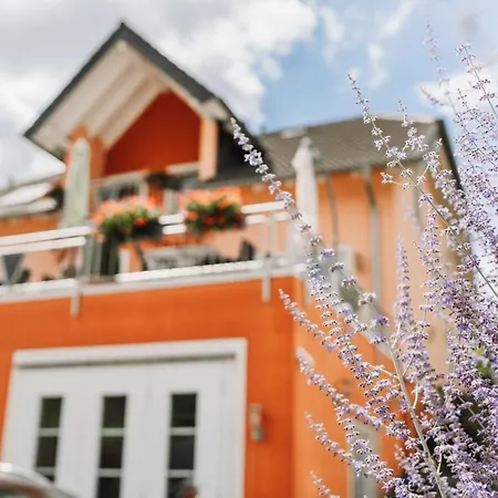 Wein- Und Gaestehaus Schwaab&sohn Pensionat 3*