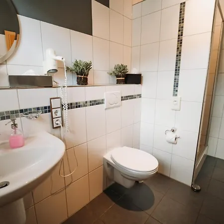 Wein- Und Gaestehaus Schwaab&sohn 3* Erden