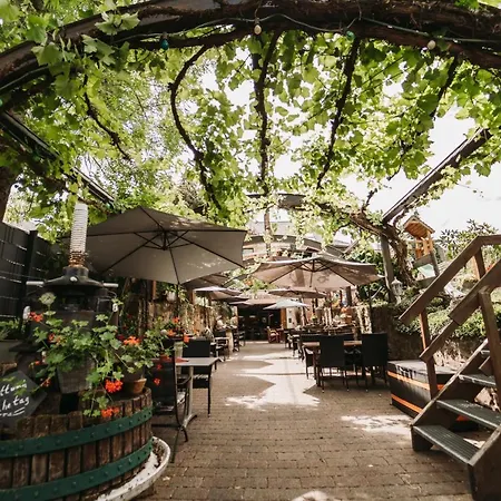 Wein- Und Gaestehaus Schwaab&sohn 3* Erden