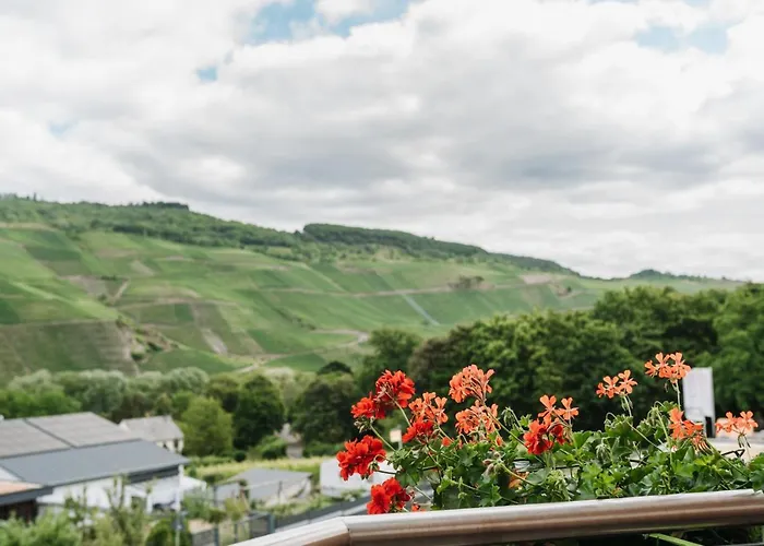 Wein- Und Gaestehaus Schwaab&sohn