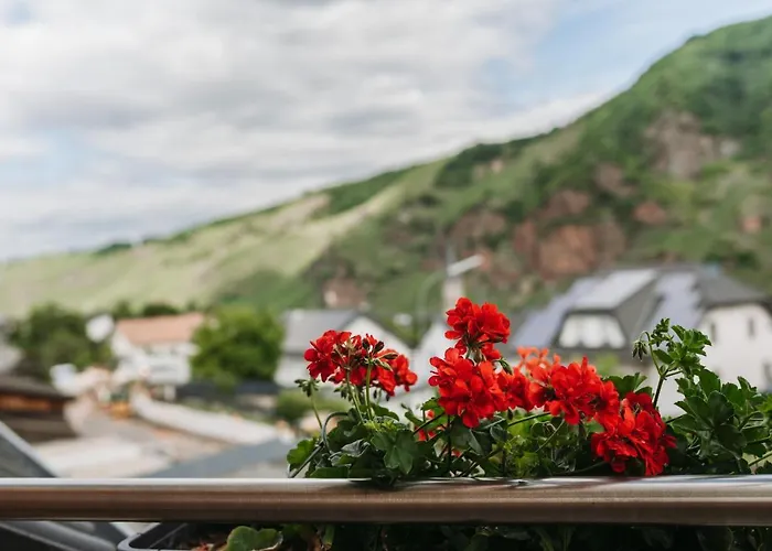 Wein- Und Gaestehaus Schwaab&sohn בית הארחה