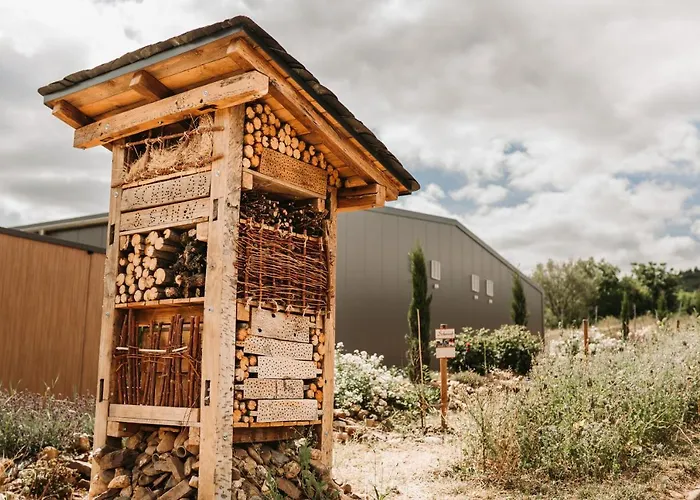 Wein- Und Gaestehaus Schwaab&sohn Erden